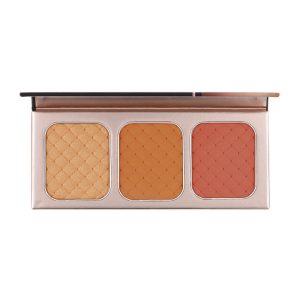 پالت رژگونه کارکتر (NTE004)
