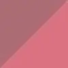 لیپ گلاس دوطرفه فیوچر میکاپ