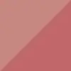 لیپ گلاس دوطرفه فیوچر میکاپ