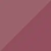 لیپ گلاس دوطرفه فیوچر میکاپ