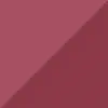 لیپ گلاس دوطرفه فیوچر میکاپ